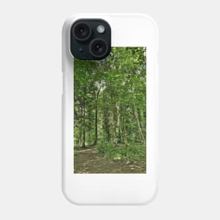 Woodland Walk Phone Case