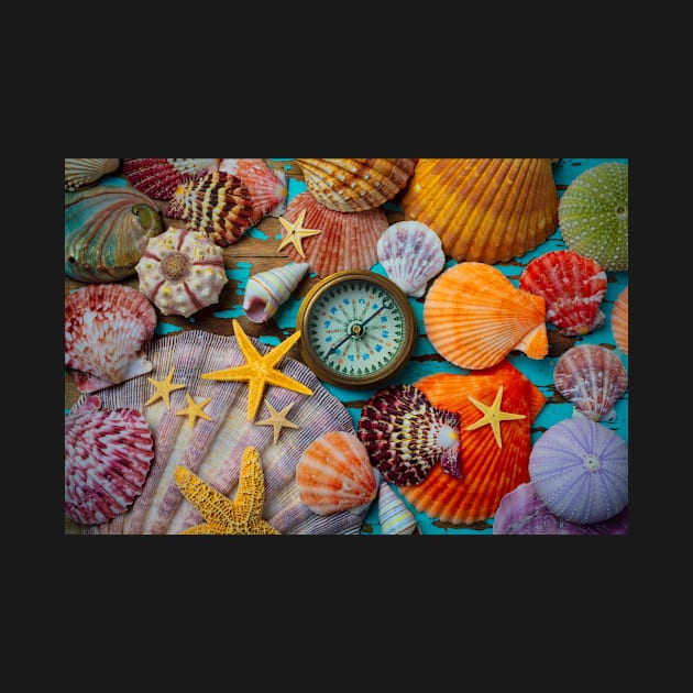 Compass And Seashells With Starfish by photogarry