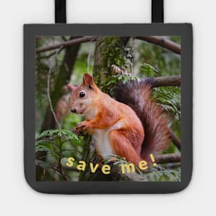 save me! Tote