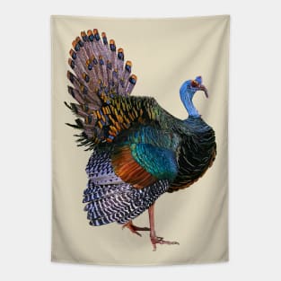 Ocellated Turkey Tapestry