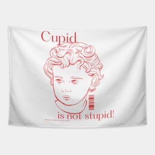 Cupid is not stupid be kind, listen to your heart Tapestry