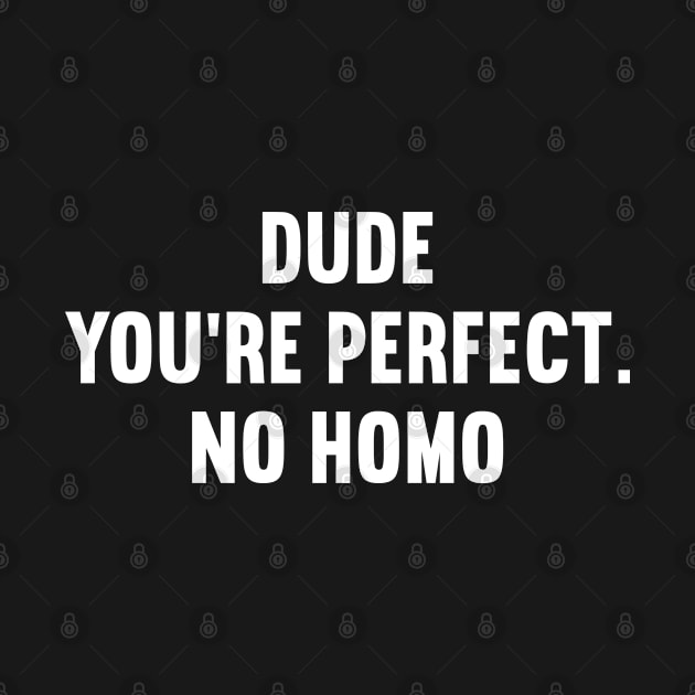 Dude You're Perfect No Homo by rainoree