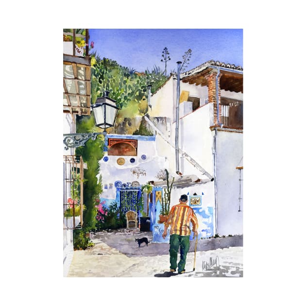 Patio in Sacromonte, Granada, Spain by margaretmerry