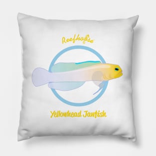 Yellowhead Jawfish Pillow