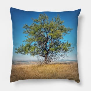 tree on the top of a hill Pillow