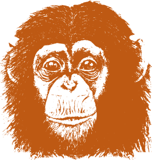 Orange Chimp face Magnet