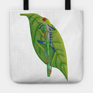 Red-eyed treefrog Tote