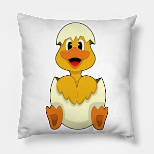 Duck Egg Pillow