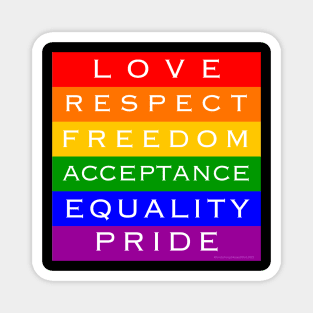 LGBTQIA+ Pride Message Flag Magnet