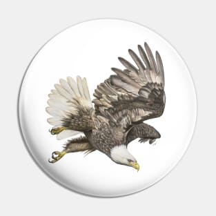 Flying Eagle Pin