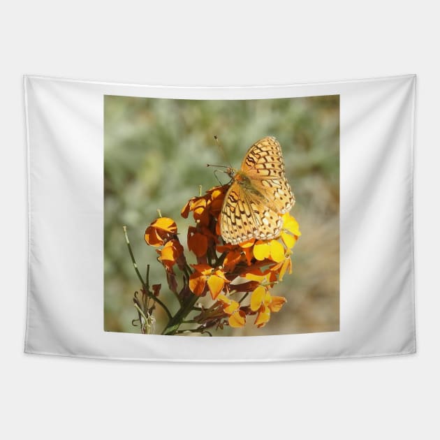 Nature gifts, wildlife, butterfly, Delicate Surprise Tapestry by sandyo2ly