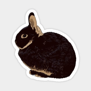 Netherland Dwarf Rabbit Magnet