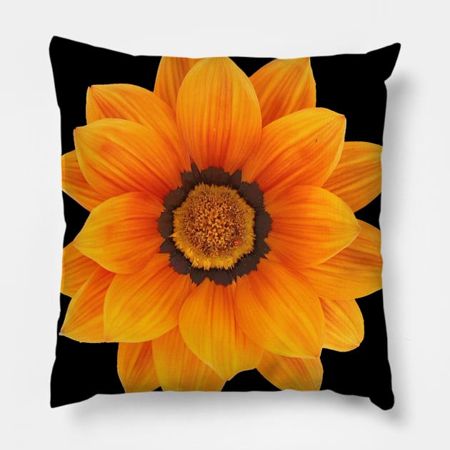 Sunflower splendor Pillow by Treasured Trends