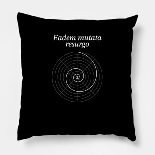 logarithmic spiral Pillow