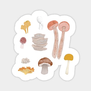 Mushroom Medley Magnet