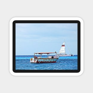 Cozumel Excursion Boats Magnet