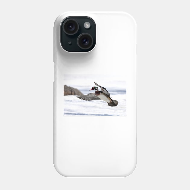 By the frozen shoreline - Wood Duck Phone Case by Jim Cumming