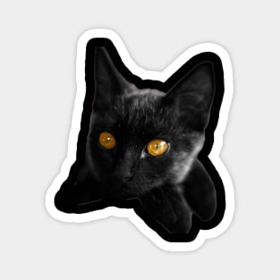 black cat eyes Magnet