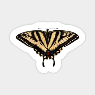 Canadian Tiger Swallowtail Magnet