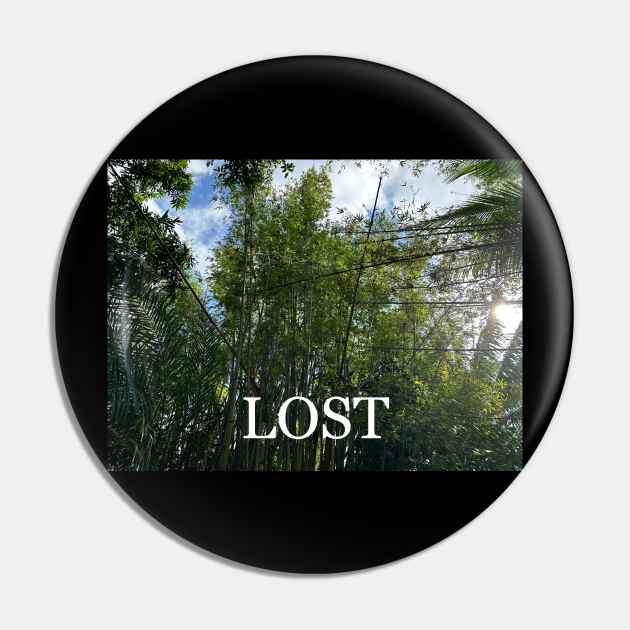 Lost Pin by SikeOh