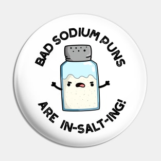 Bad Sodium Puns Are In-salt-ing Cute Salt Pun Pin