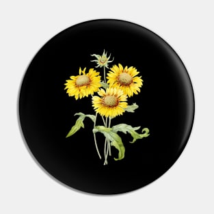 Vintage Blanket Flowers Botanical Illustration Pin