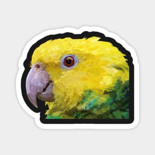 Yellow Head Amazon Magnet