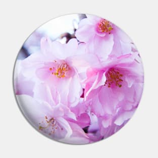 Photography - Plum blossom Pin