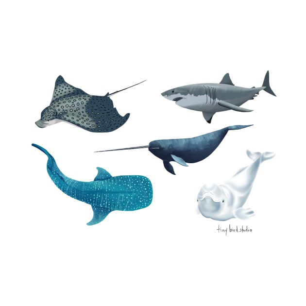 Marine animals by Tiny Bird Studio