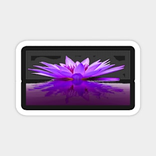 Water Lily Magnet