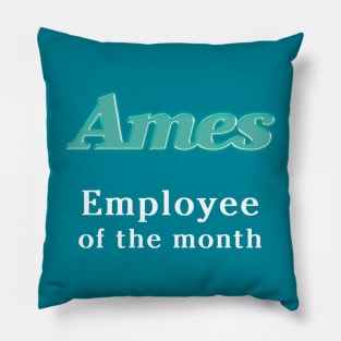 Ames Department Store Employee of the Month Pillow