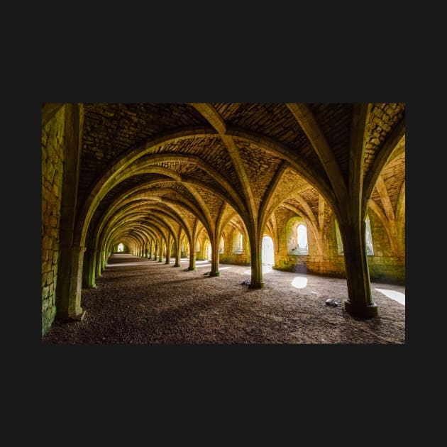 The Vaulted Cellarium, Fountains Abbey by BrianPShaw