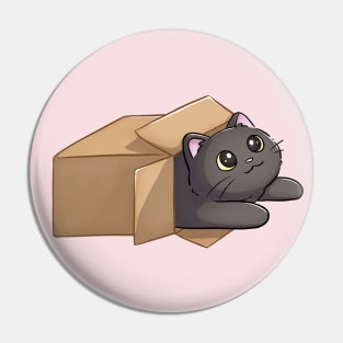 Cute Black Cat In A Box Pin