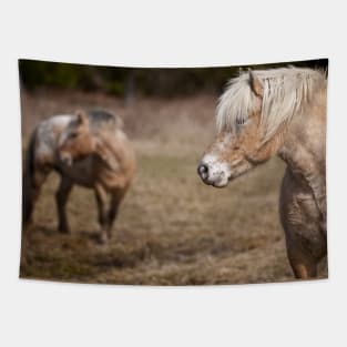 Shaggy Horses Tapestry