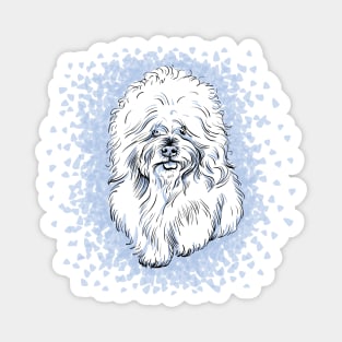 dog Bichon Frise breed Magnet