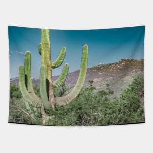 Desert Cactus Tapestry