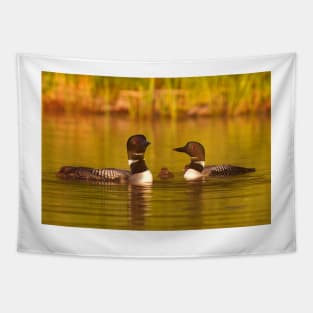 Common loon family portrait Tapestry