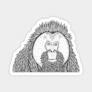 Friendly Orangutan Magnet