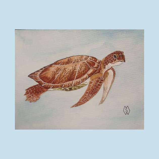 Sea Turtle by Matt Starr Fine Art