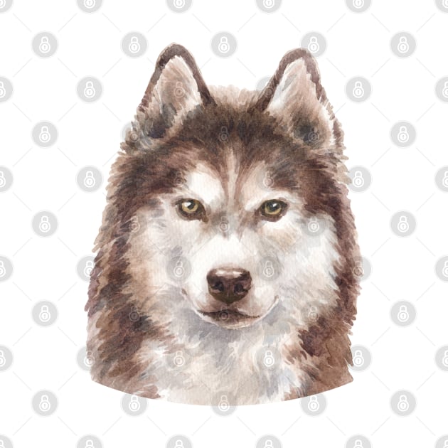Siberian Husky Watercolor Art by doglovershirts