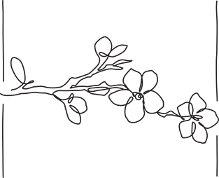 Cherry Blossom Line Drawing - Black Magnet