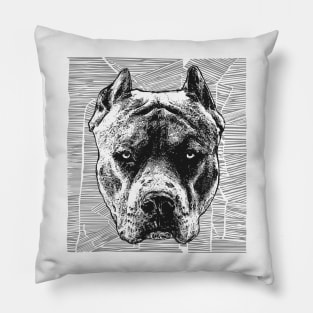 Pit bull terrier Pillow