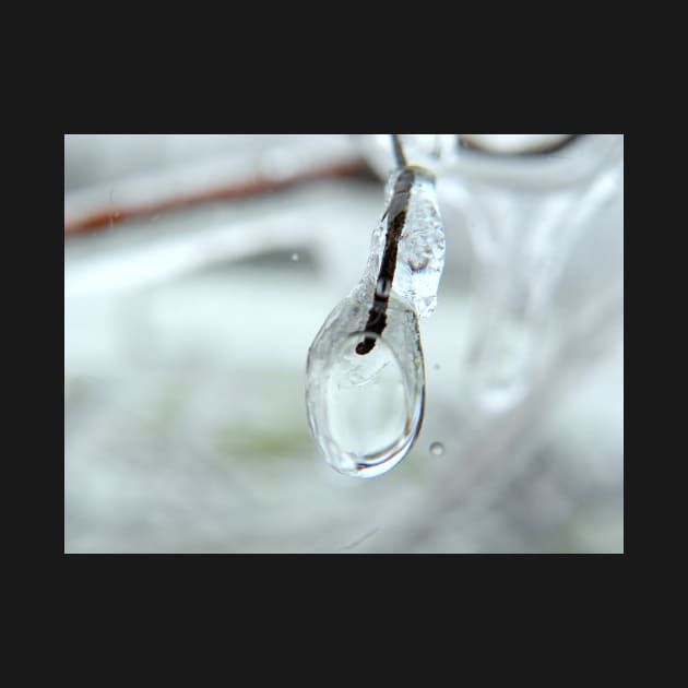 Icicle Drop by LaurieMinor