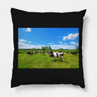 A herd of Holstein Friesian cows grazing on a pasture under blue cloudy sky Pillow