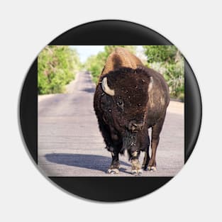 American Bison Pin