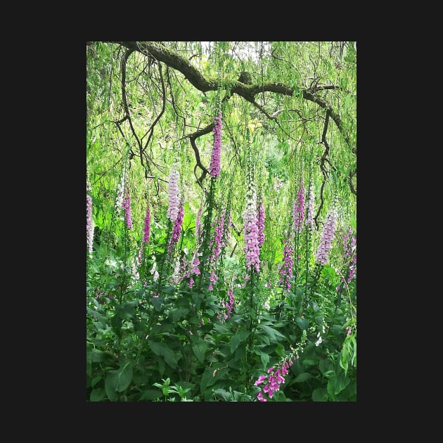 Foxgloves photograph by esvb