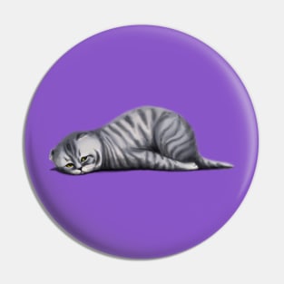 Lop-eared sad cat Pin