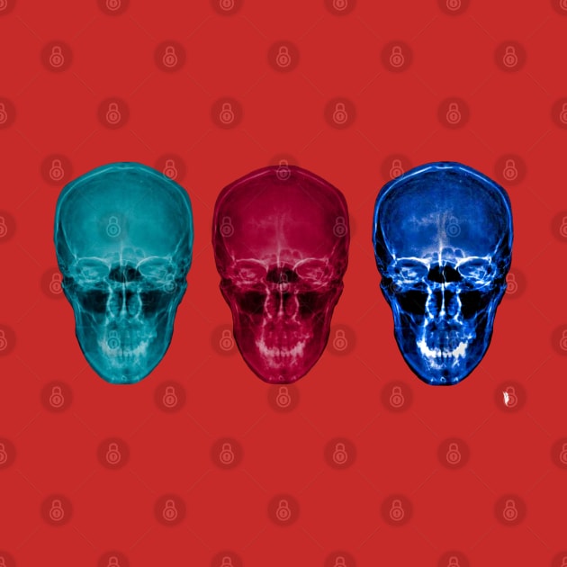 Three skulls , coloured X-ray skulls. by Bird