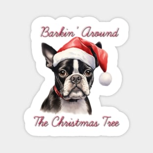 Christmas Boston Terrier Dog in Santa Hat Magnet