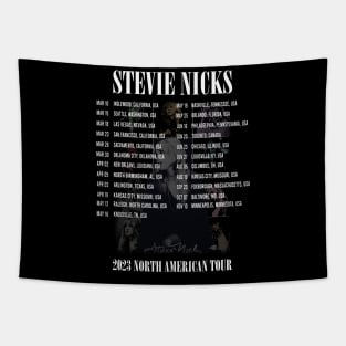 Stevie Nicks Vintage Rock Music 2023 Tour Live in Concert Tapestry